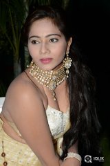 Mithra at Dollar Ki Maro Vaipu Movie Audio Launch